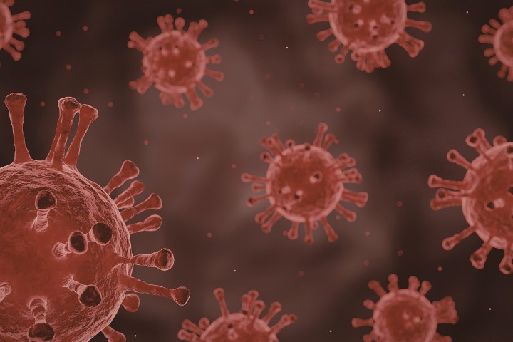 Viruses associated with fever in babies