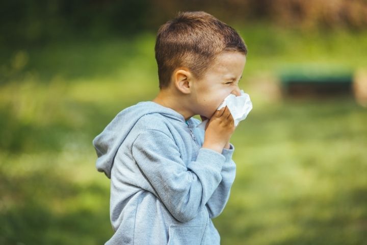 Child sneezing outdoors as seasonal allergens may trigger asthma symptoms